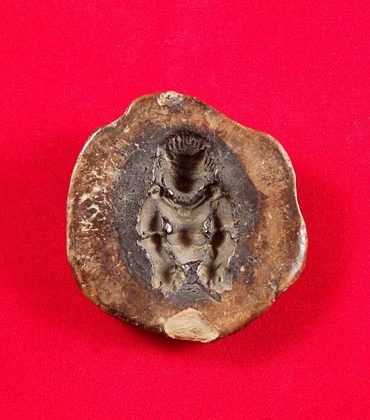 zanpar hémisphérique