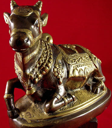 taureau nandi allongé inde bronze
