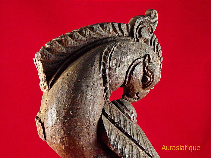 perroquet sculpté en bois indien détail tête