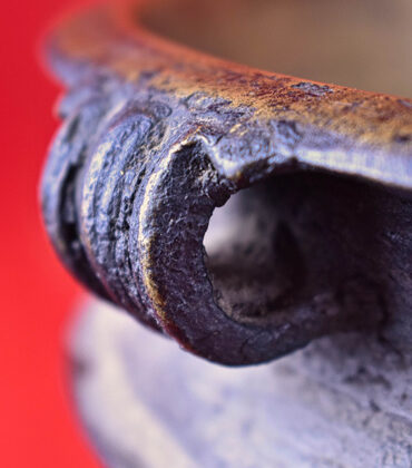 urli ou uruli indien à puja