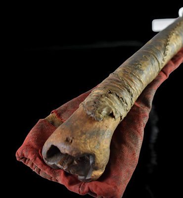 trompe tibétaine kangling gainée de cuir