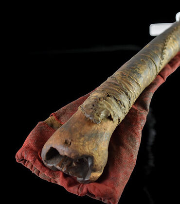 trompe tibétaine kangling gainée de cuir